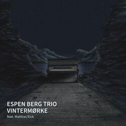 Cover of Vintermørke
