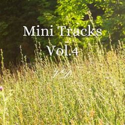 Cover of Mini Tracks, Vol. 4