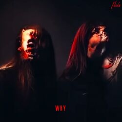 Cover of why...