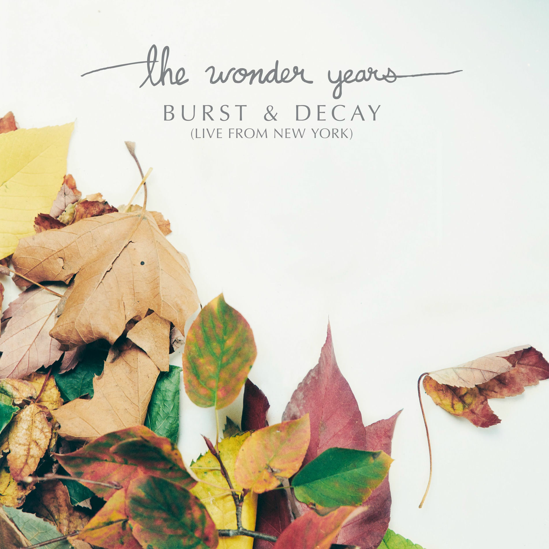 Album cover of Burst & Decay (Live from New York)