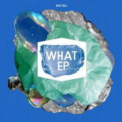 Cover of What?