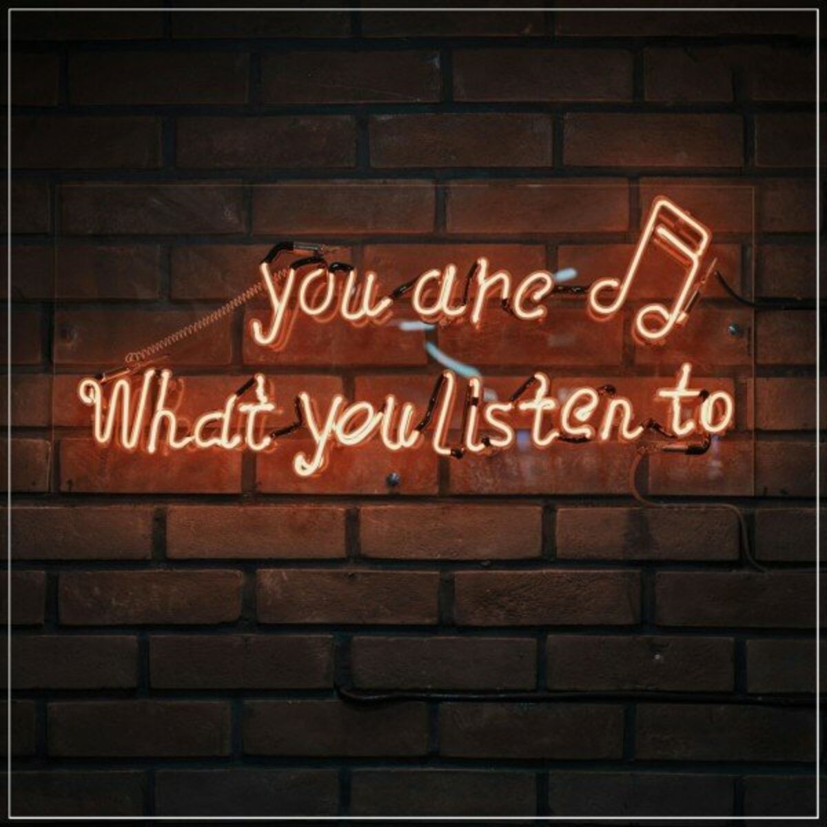 Album cover of You Are What You Listen To
