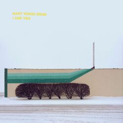 Cover of I Saw You