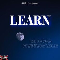 Cover of LEARN