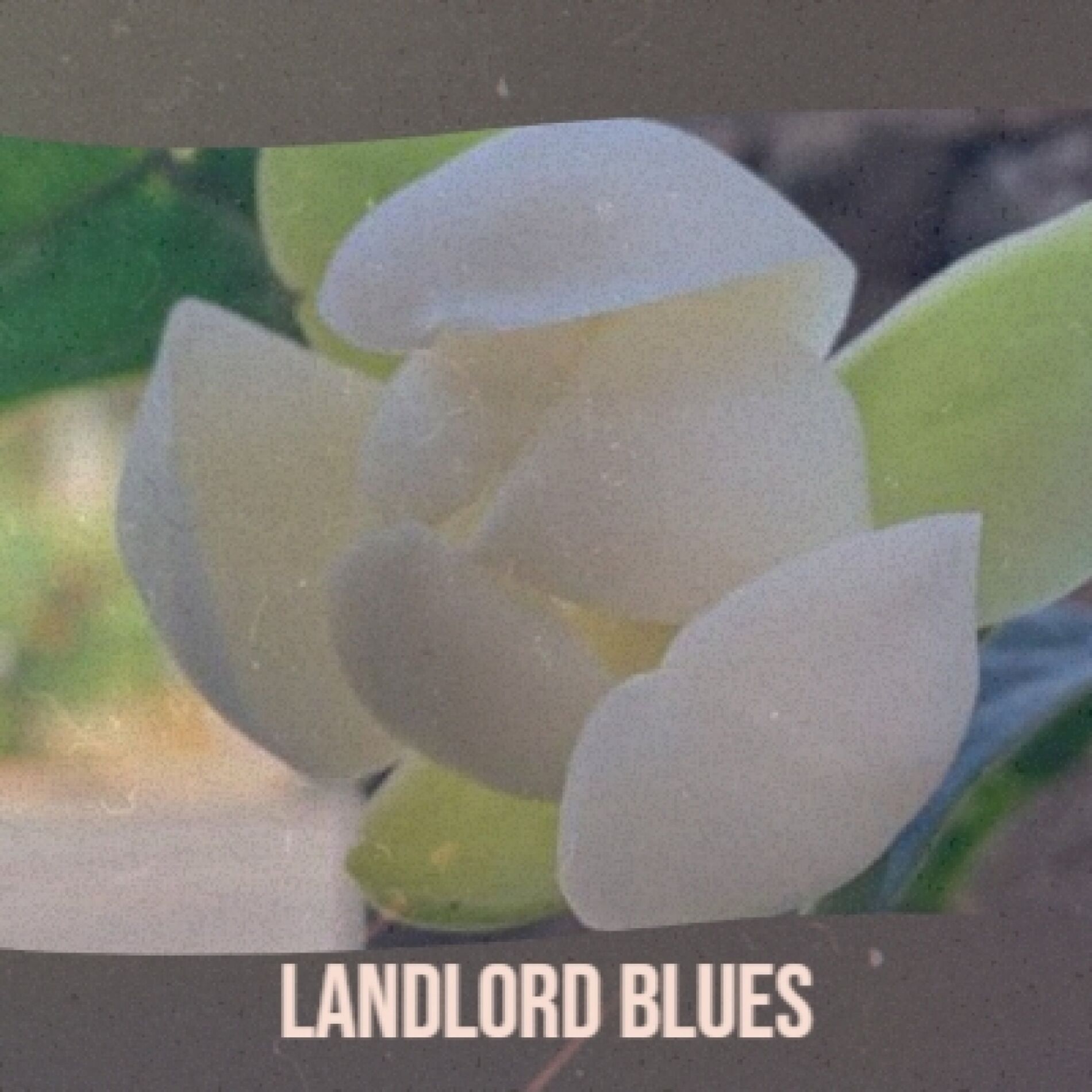 Album cover of Landlord Blues