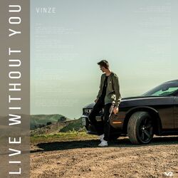 Cover of Live Without You
