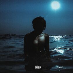 Cover of ZO