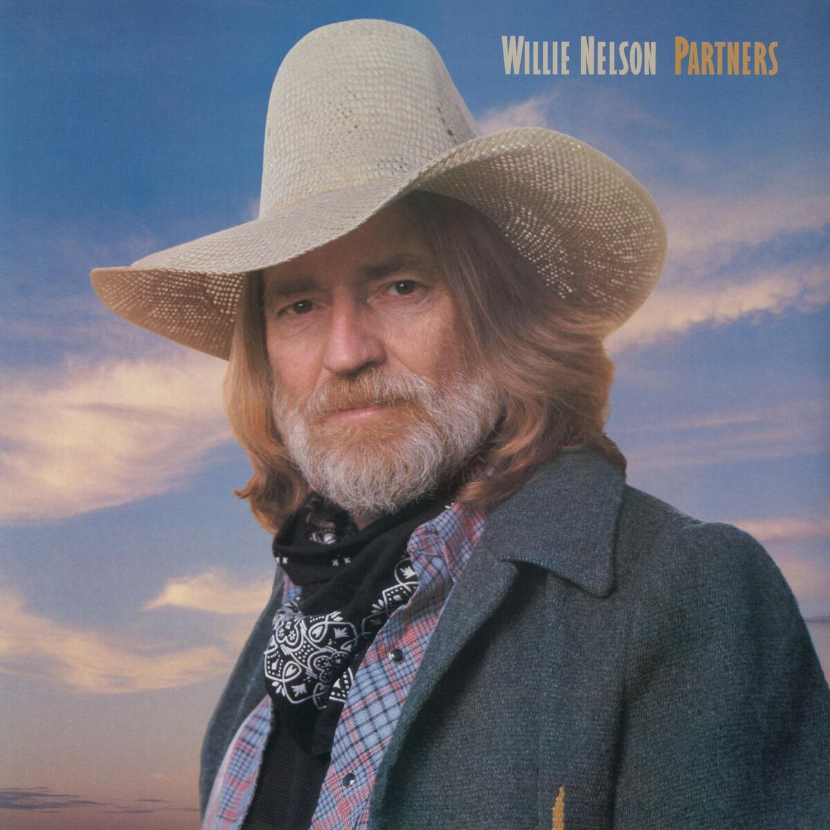 Album cover of Partners