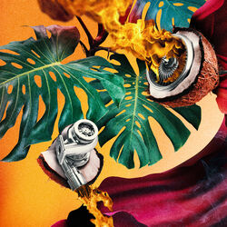 Cover of Turbococco