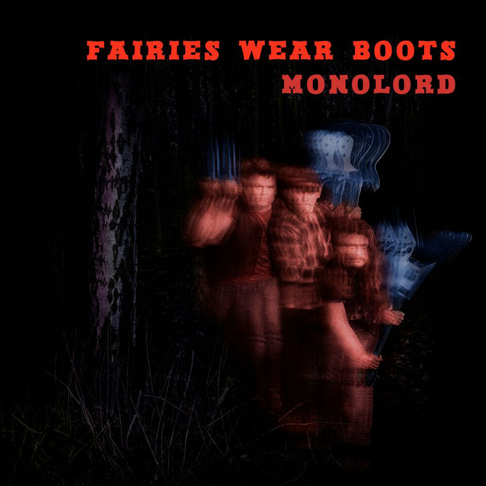 Picture of Fairies Wear Boots