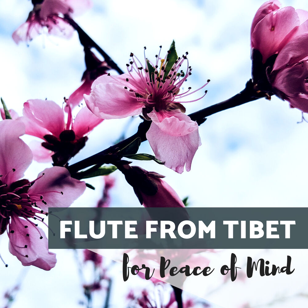 Picture of Flute from Tibet for Peace of Mind