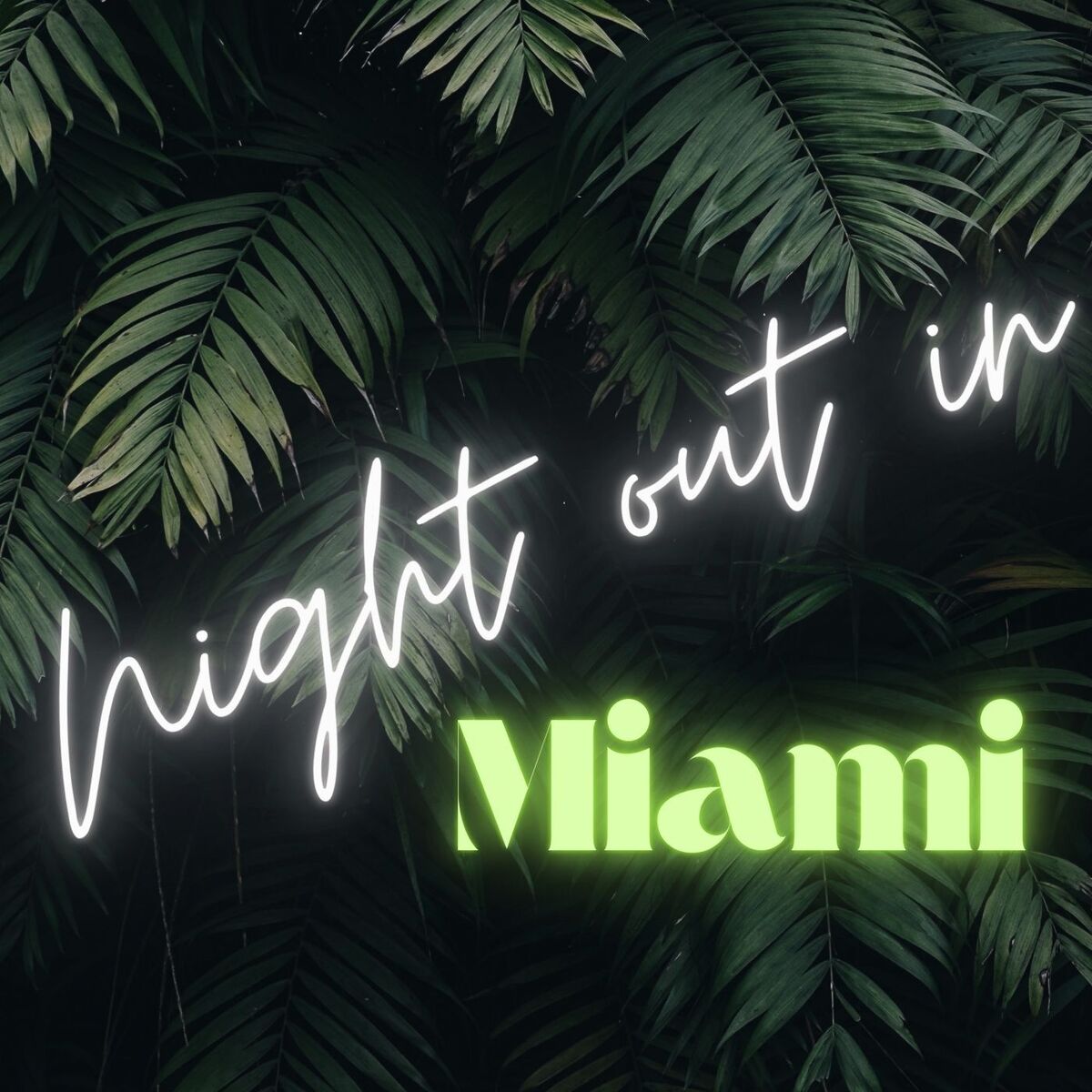 Album cover of Night Out in Miami