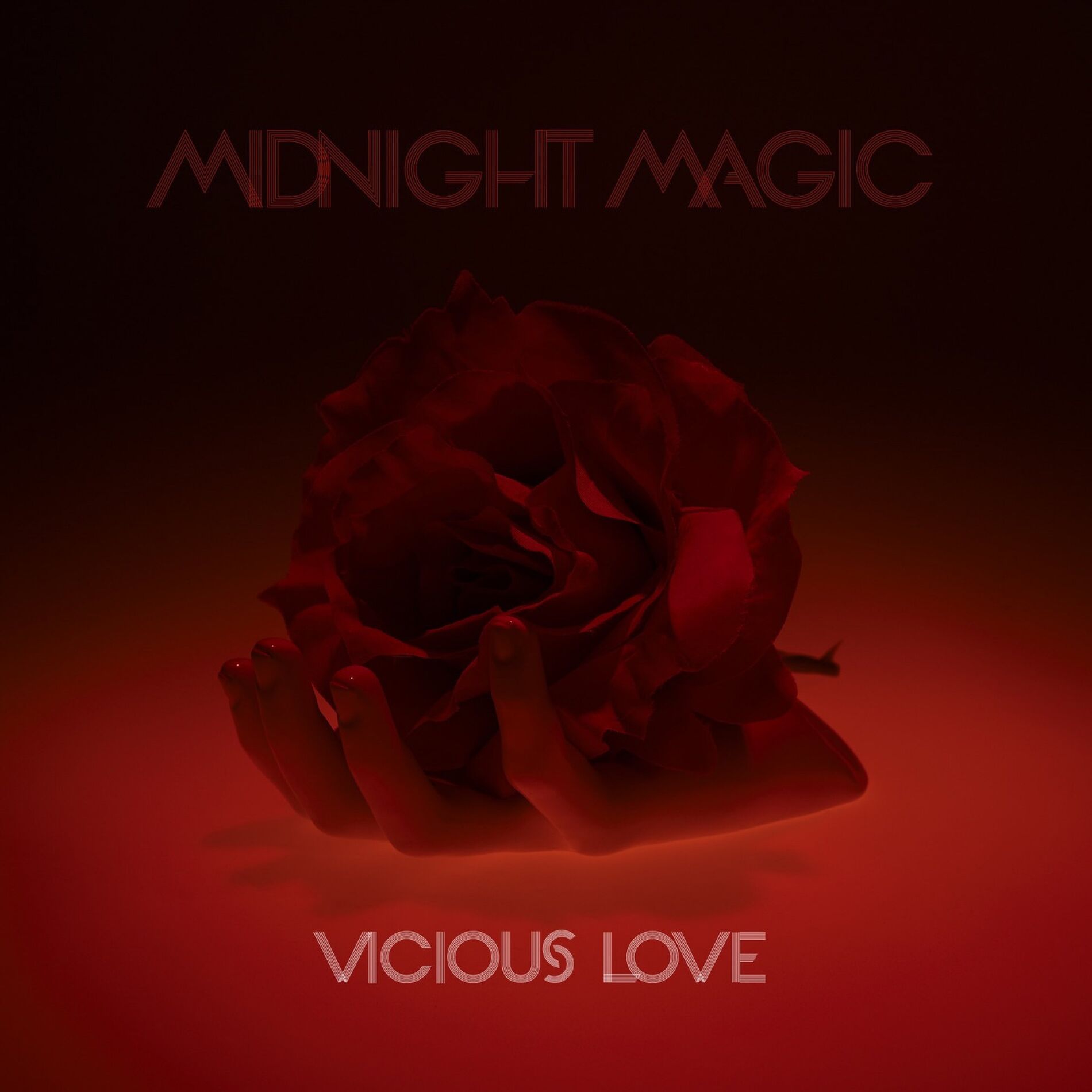 Album cover of Vicious Love