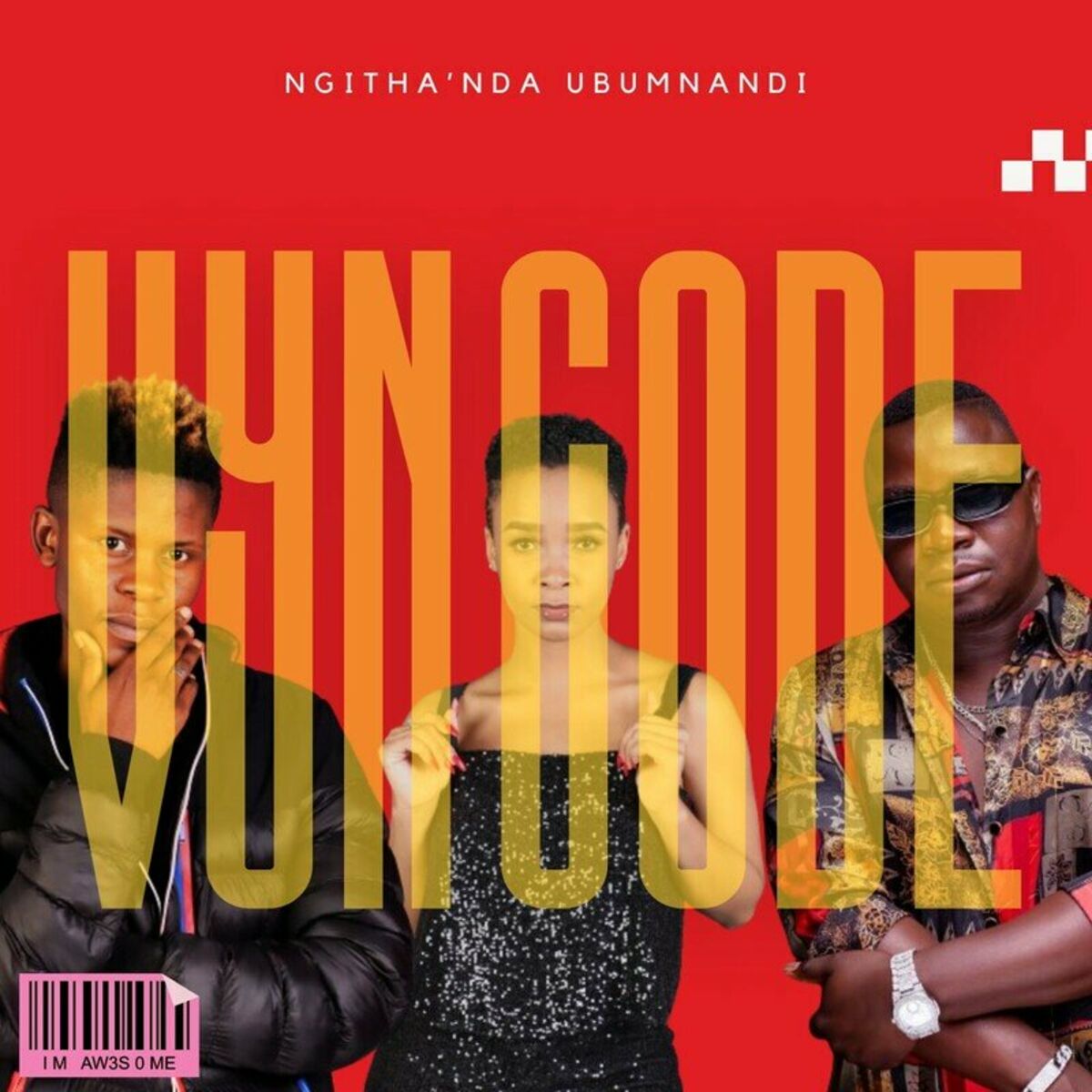 Album cover of Ngitha'nda Ubumnandi
