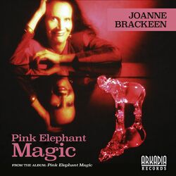 Cover of Pink Elephant Magic (feat. John Patitucci & Horacio El Negro Hernandez)