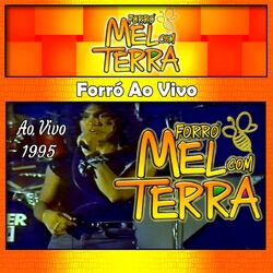Cover of Forró Ao Vivo - 1995
