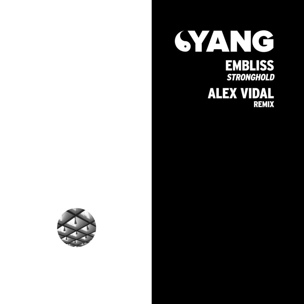 Picture of Stronghold (Alex Vidal Remix)