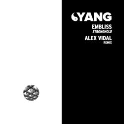 Cover of Stronghold (Alex Vidal Remix)