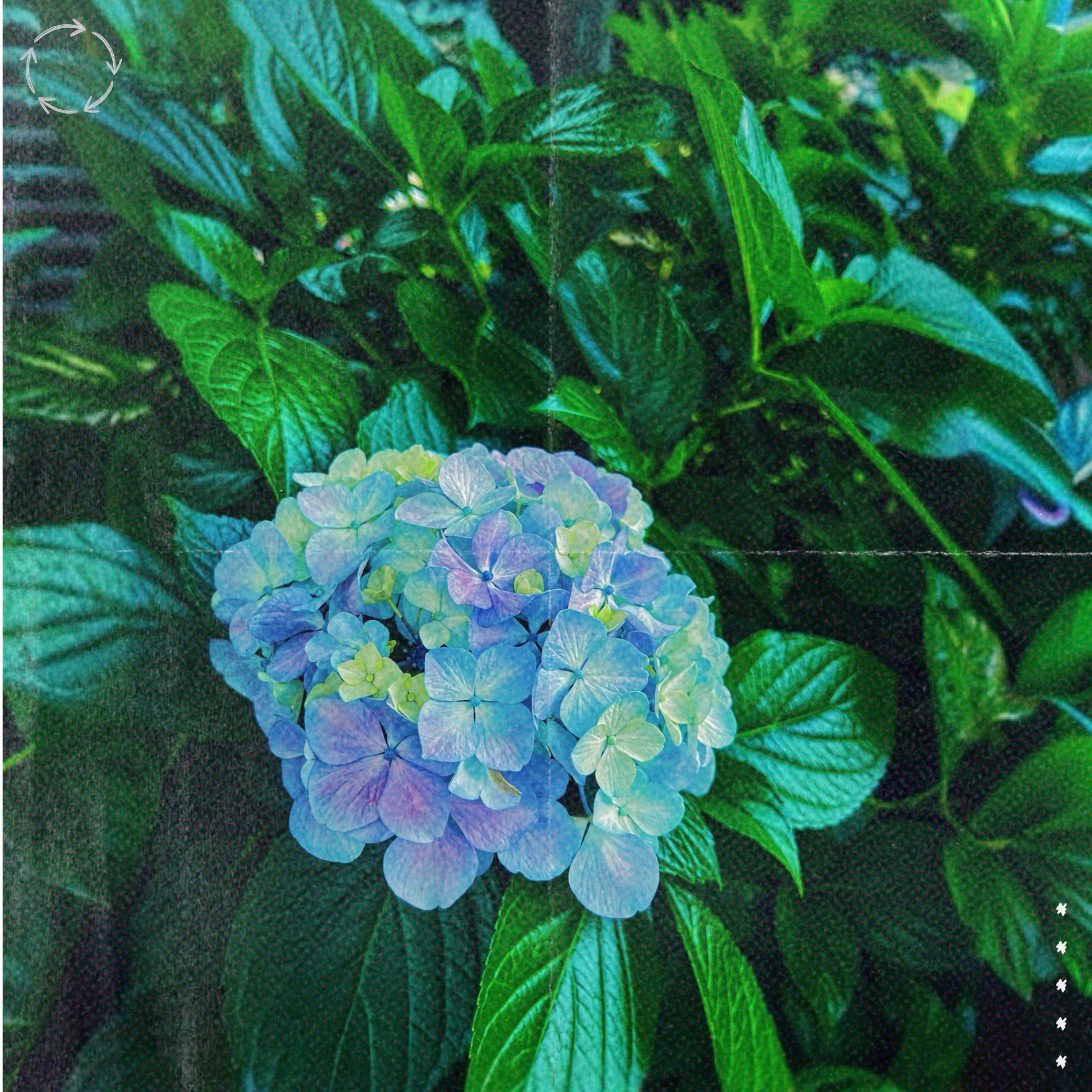 Album cover of A Saudade Vem Bater