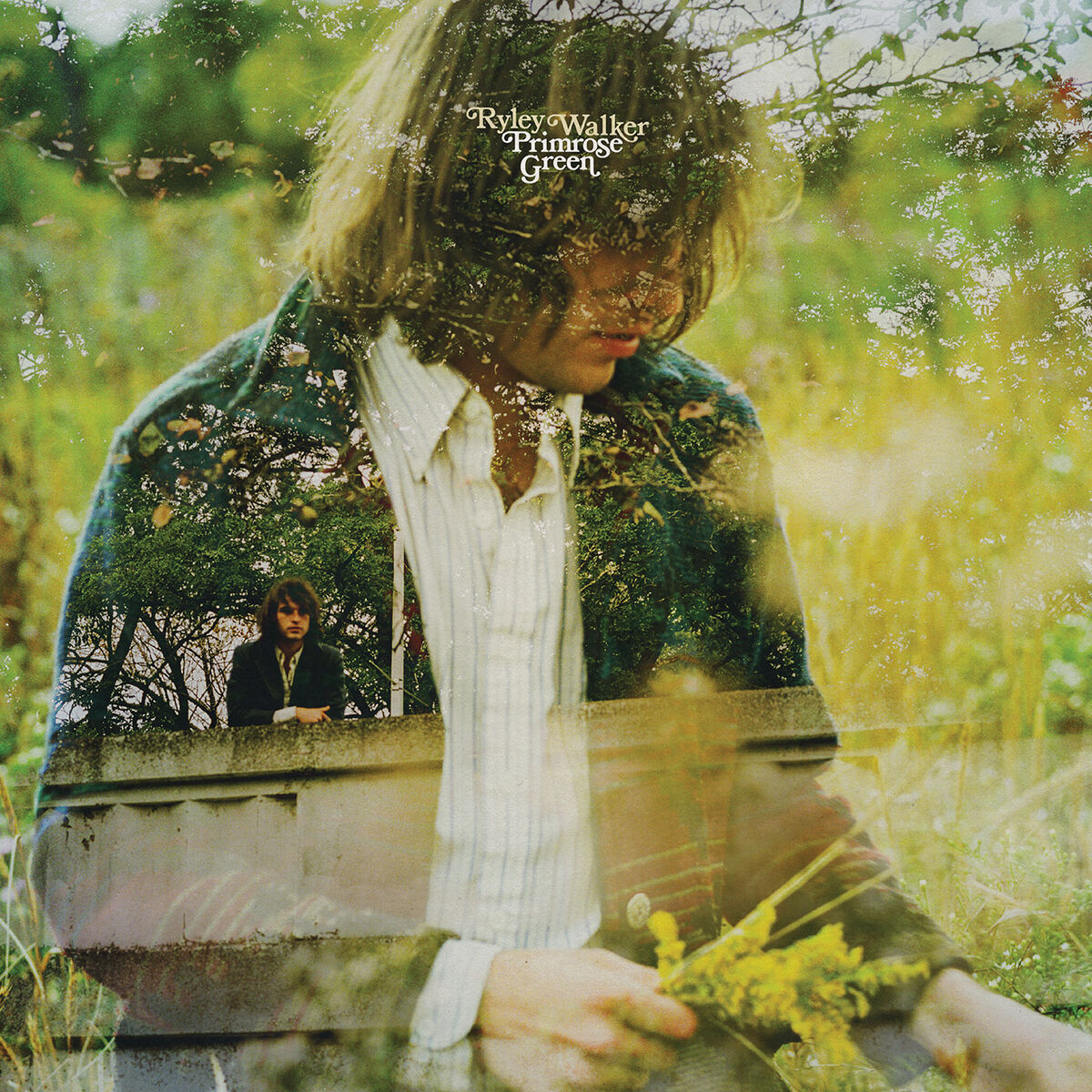 Album cover of Primrose Green