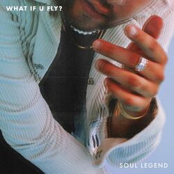 Cover of what if u fly?