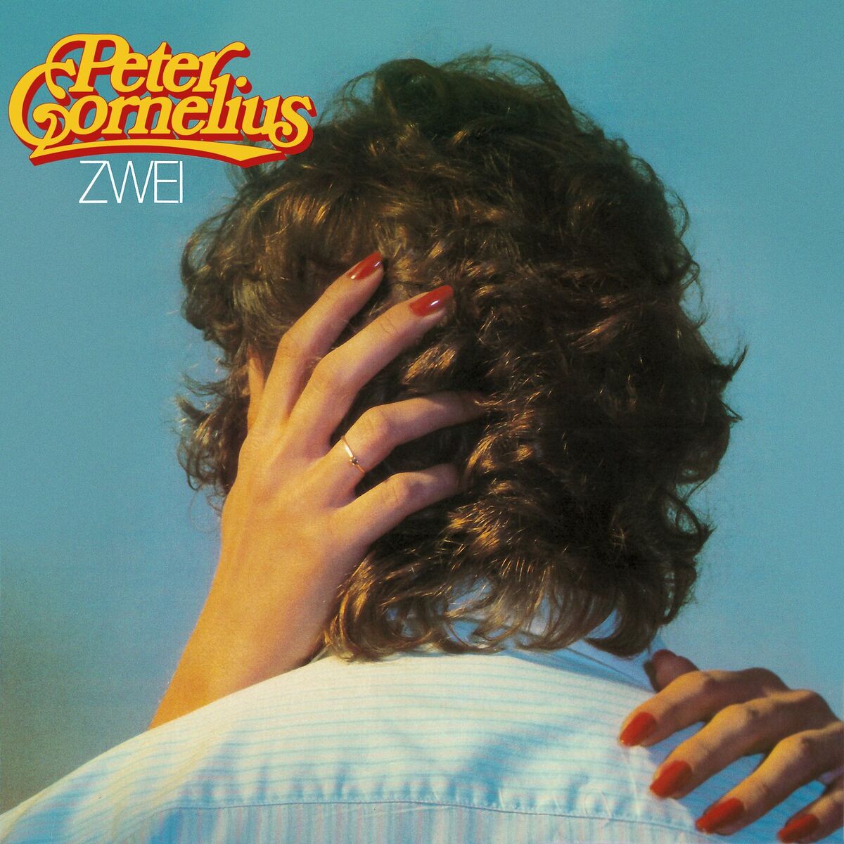 Album cover of Du entschuldige - i kenn' di