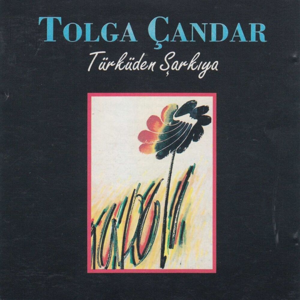 Picture of Türküden Şarkıya