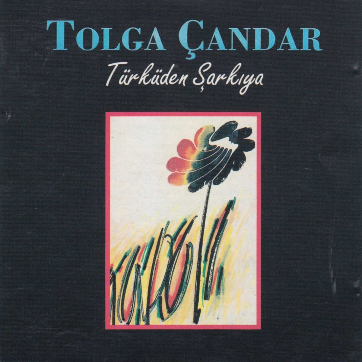 Album cover of Türküden Şarkıya