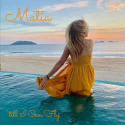 Cover of Till I Can Fly
