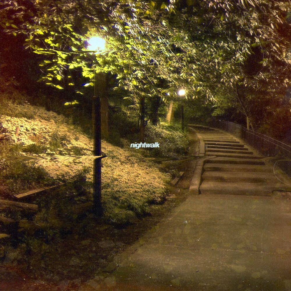 Picture of Nightwalk