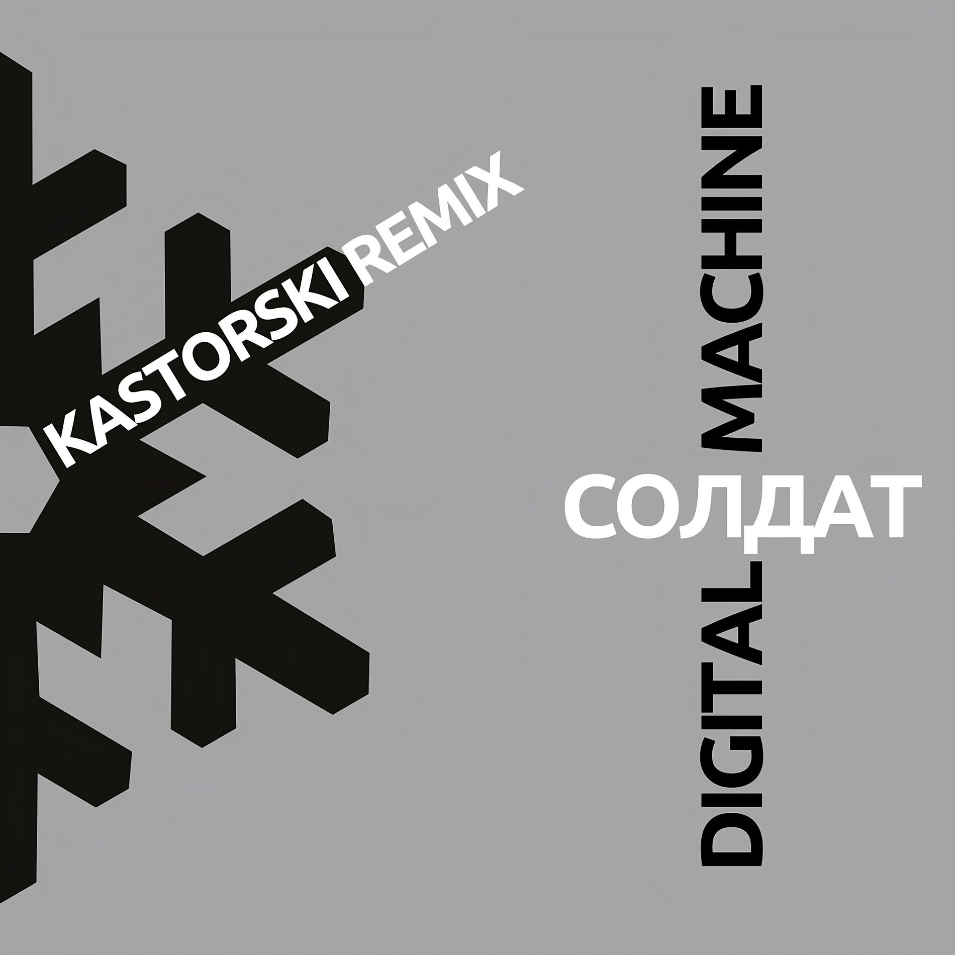 Album cover of Солдат (Kastorski Remix)