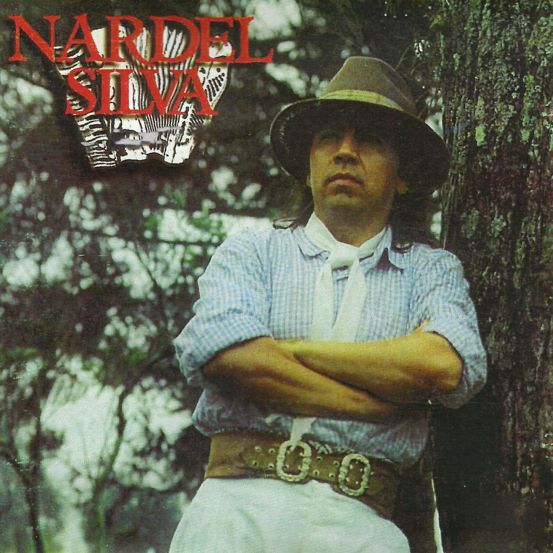 Album cover of Baile do Chico Torto