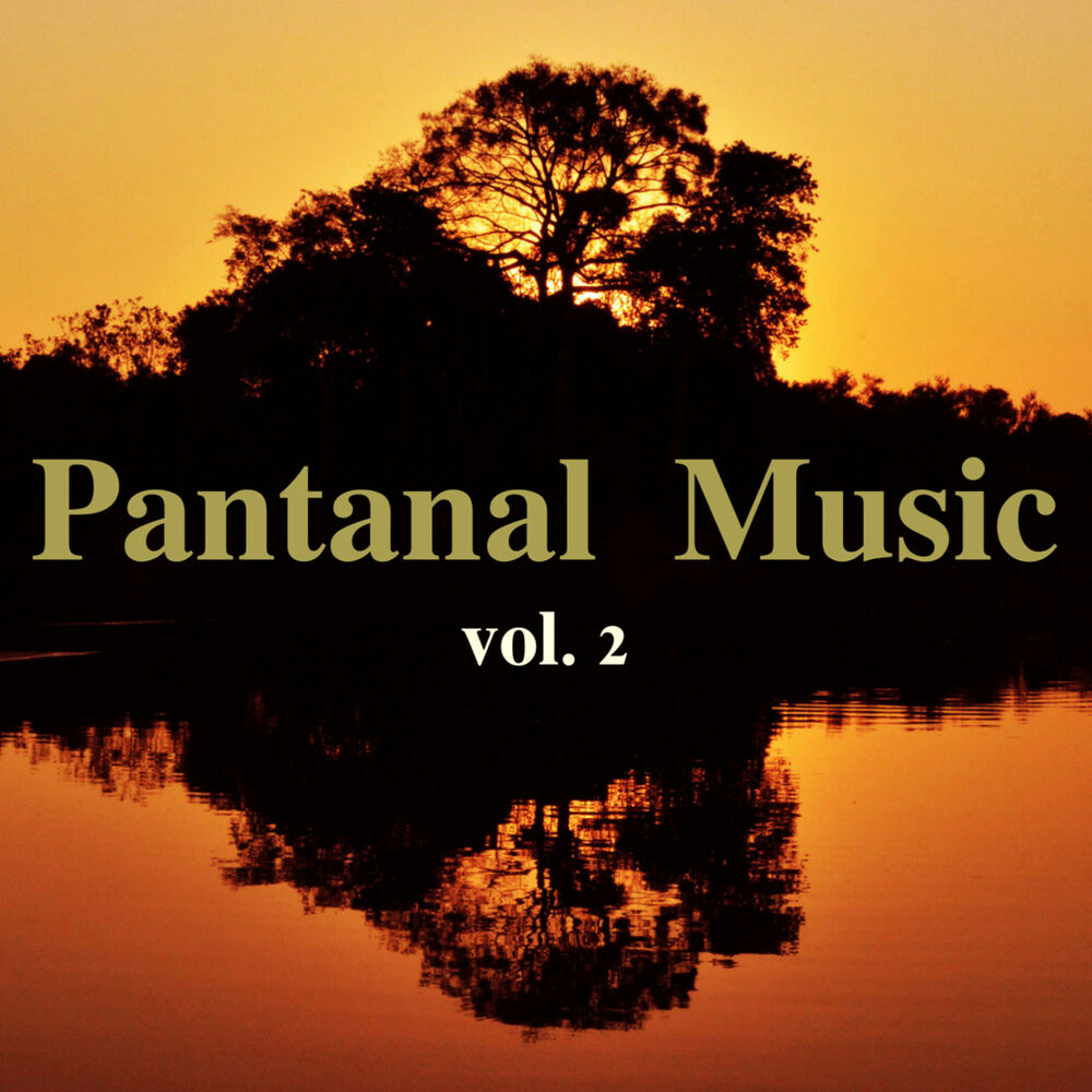 Picture of Pantanal Music, Vol. 2