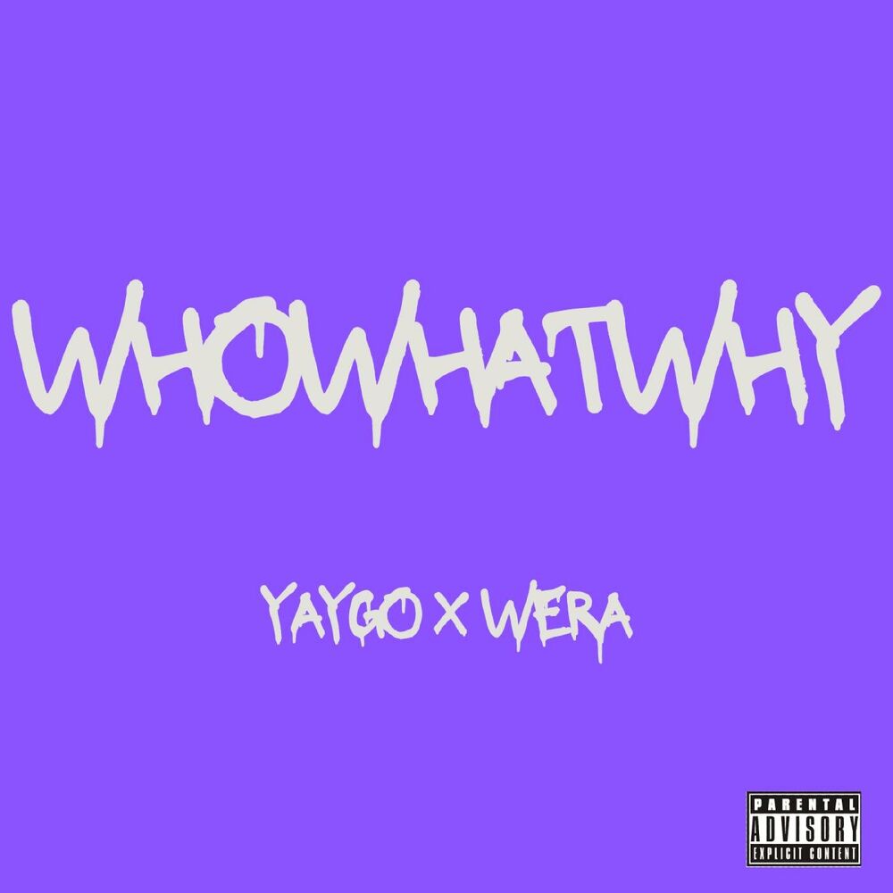 Picture of WHOWHATWHY
