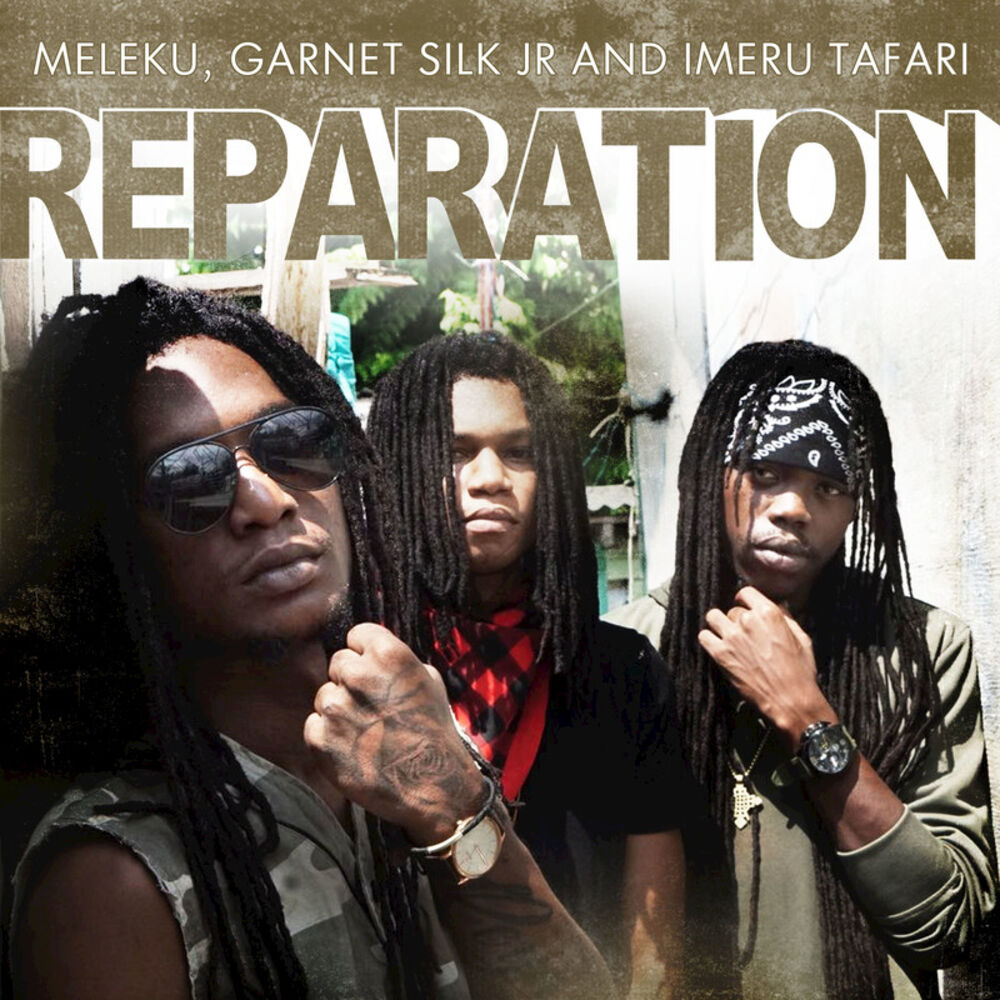 Picture of Reparation