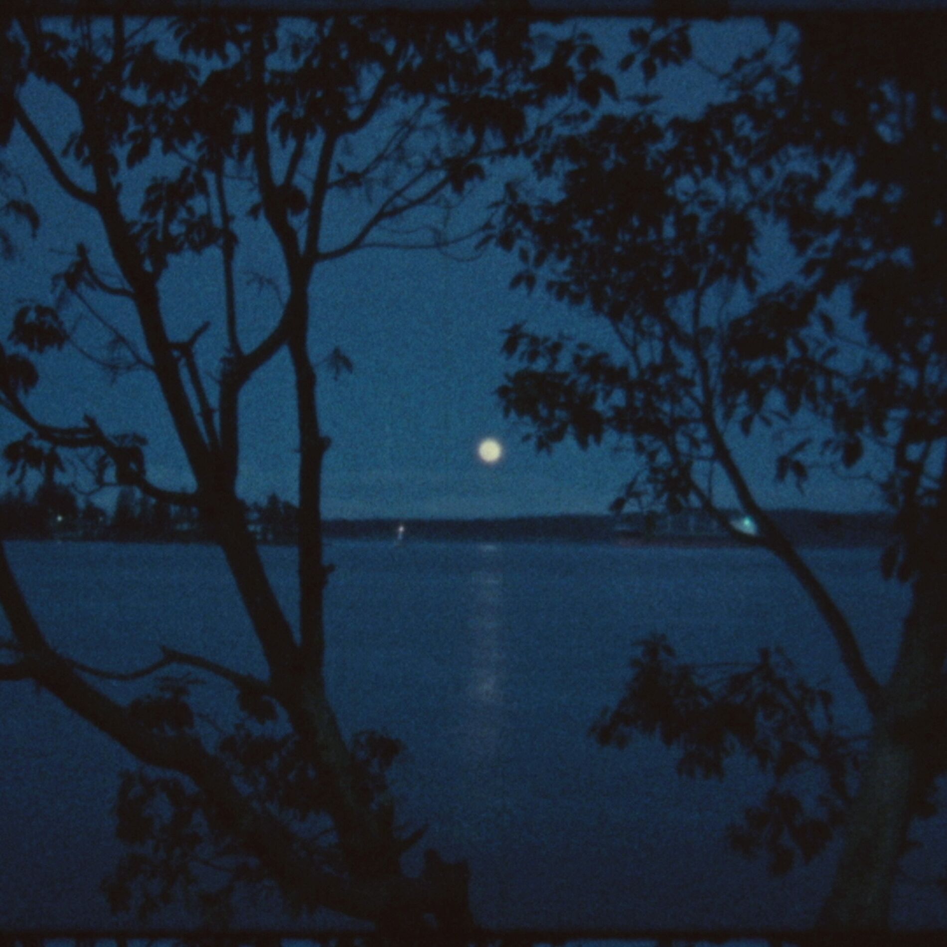 Album cover of Blue