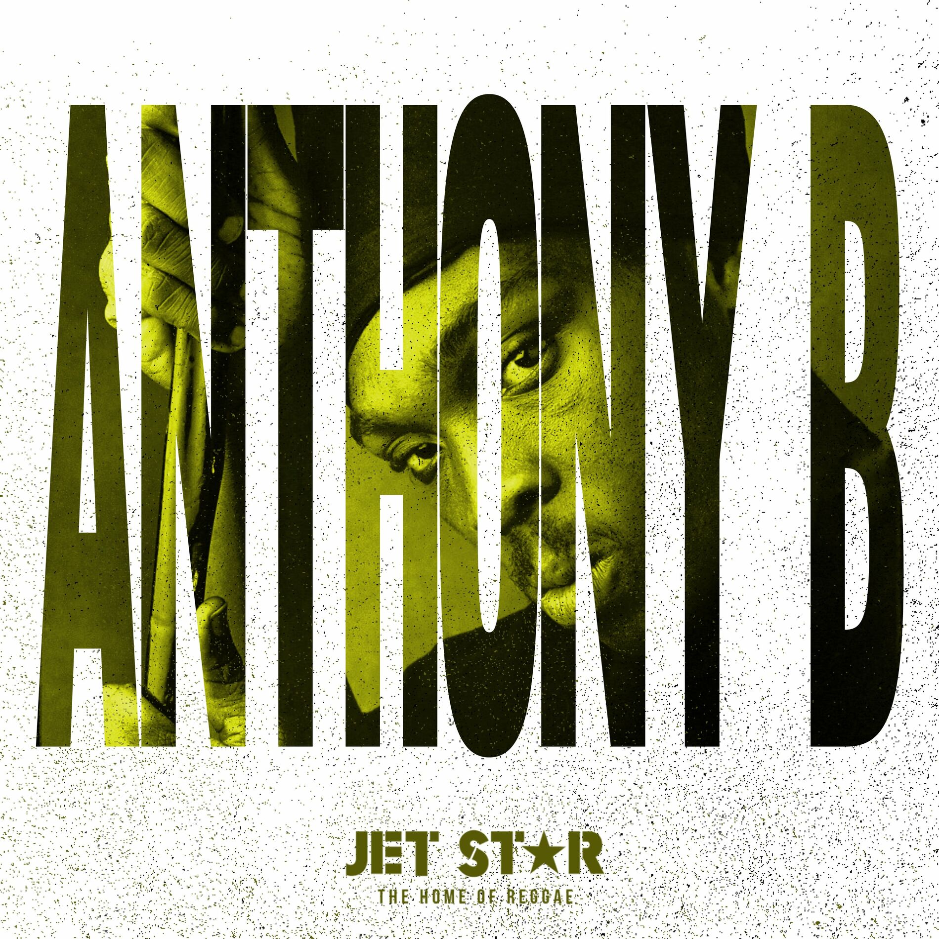 Album cover of Anthony B - The Artist