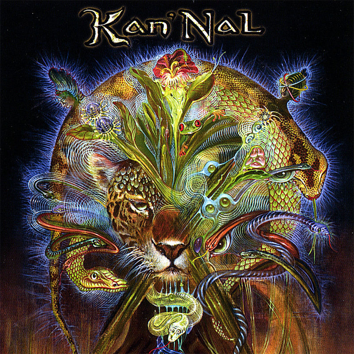 Album cover of Dreamwalker