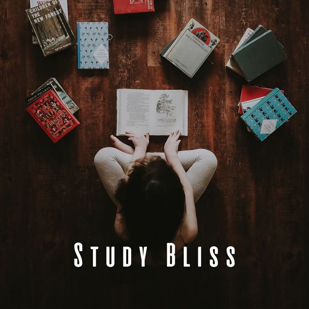 Picture of Study Bliss: Lofi and Chill Muic for Intellectual Flow