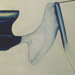 Cover of Plegnic