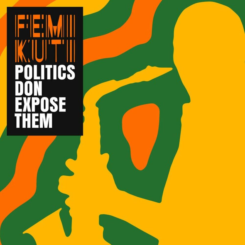 Picture of Politics Don Expose Them