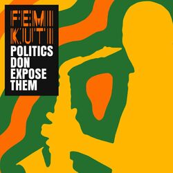 Cover of Politics Don Expose Them