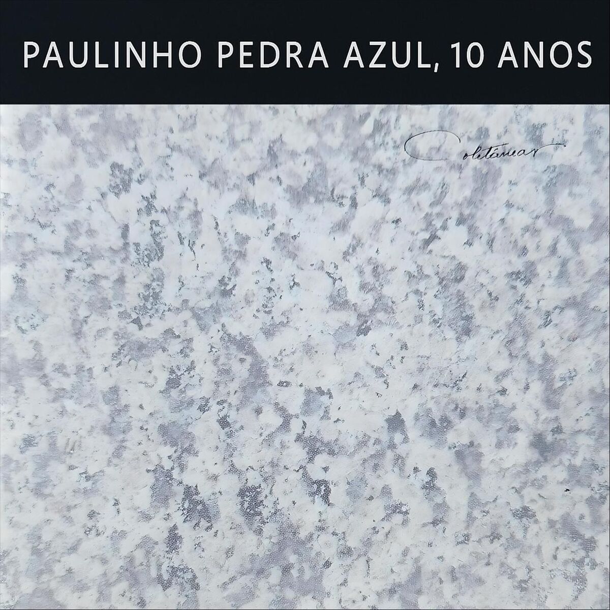 Album cover of Paulinho Pedra Azul, 10 Anos