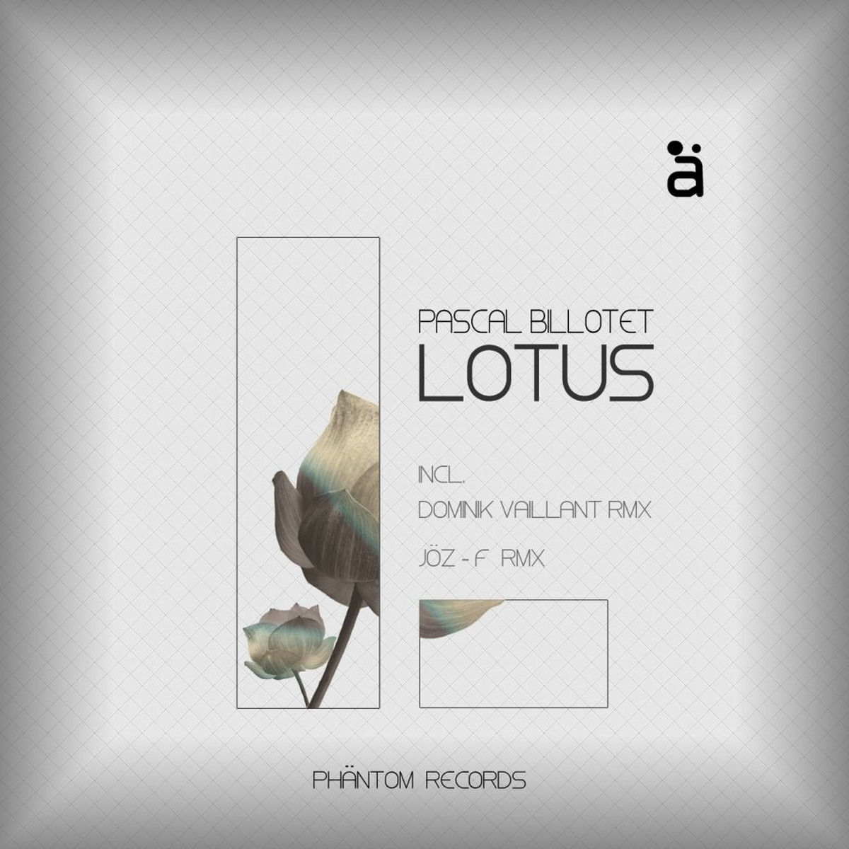 Album cover of Lotus EP