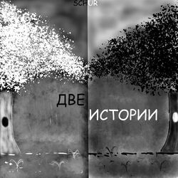 Cover of Две истории