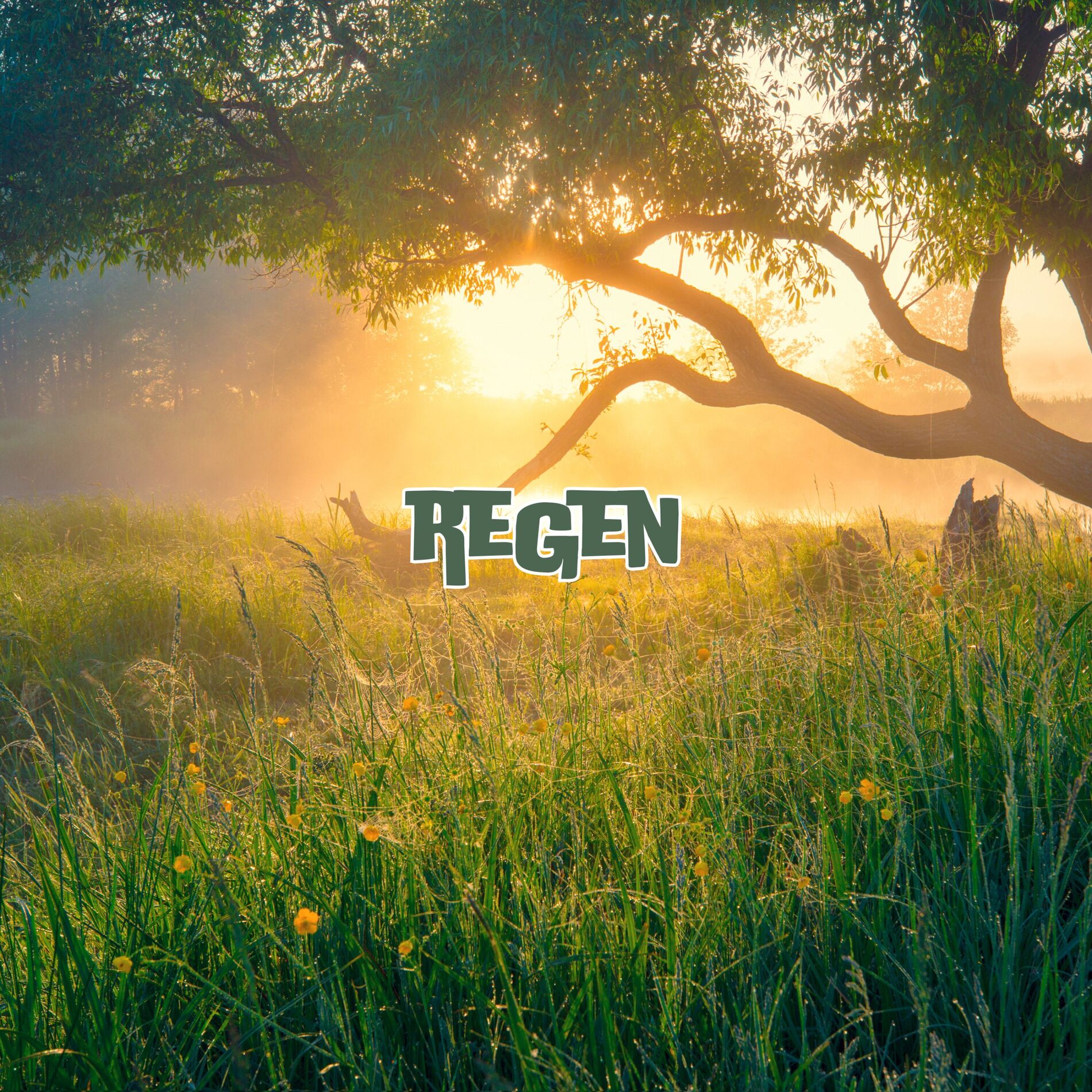 Album cover of Relaxing Sounds Stress Relief