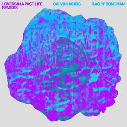 Cover of Lovers In A Past Life (Remixes)