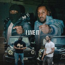 Cover of I Live It