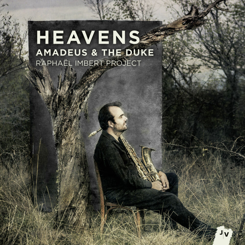 Picture of Heavens (Amadeus & The Duke)