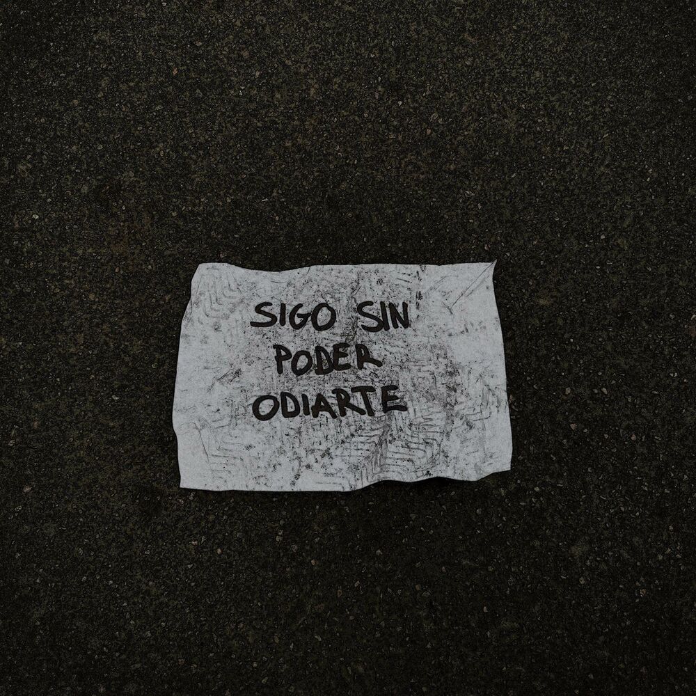 Picture of Sigo sin poder odiarte